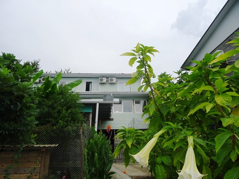 Гостевой дом sanrais в лоо. Переулок алычевый 1 лоо. Лоо весенняя 23 гостевой дом. Ураган в лоо 2022. Лоо сегодня 2024.