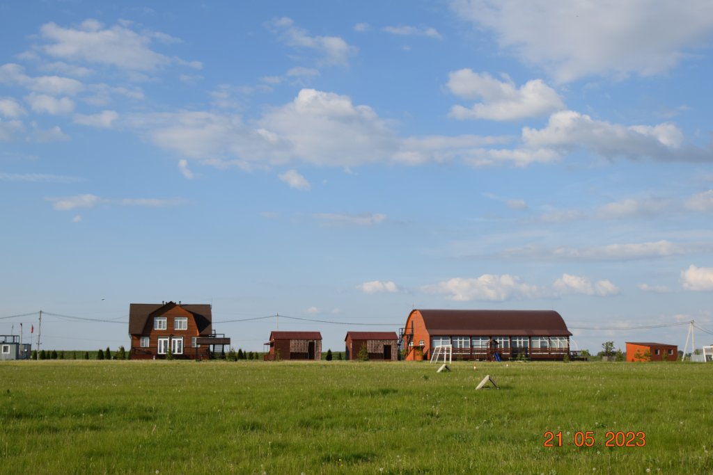 Заря основа. Заря основа
