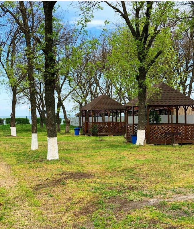 Ейск кемпинг. Кедр Ейск. База кедр Ейск. Кедр кемпинг. Ейск автокемпинг.