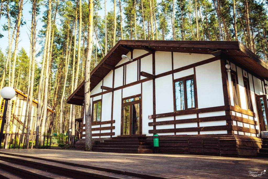 Турбаза лес. Донской лес Задонск. Донской лес Липецк. Донской лес база отдыха Задонск. Загородный клуб Донской лес Липецк.