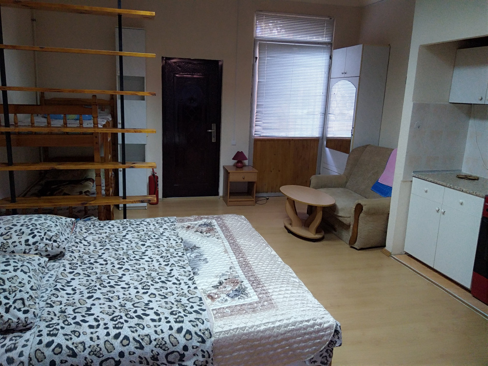 Квартира-студия Голицина 16Е в Новом Свете - фото 1
