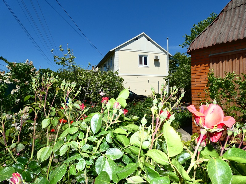 "Зелёная черепаха" гостевой дом в Орджоникидзе (Феодосия) - фото 1