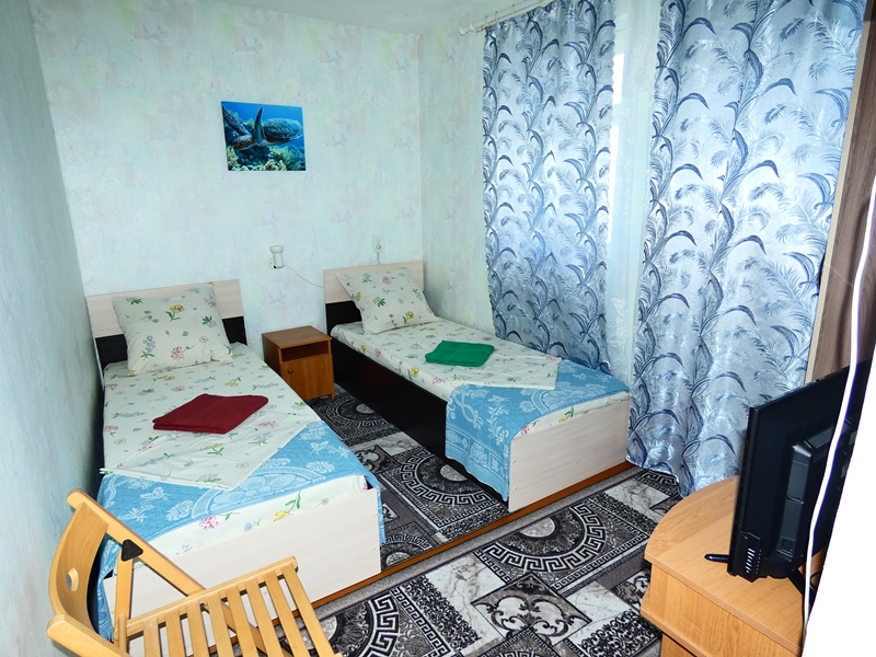 "Зелёная черепаха" гостевой дом в Орджоникидзе (Феодосия) - фото 25