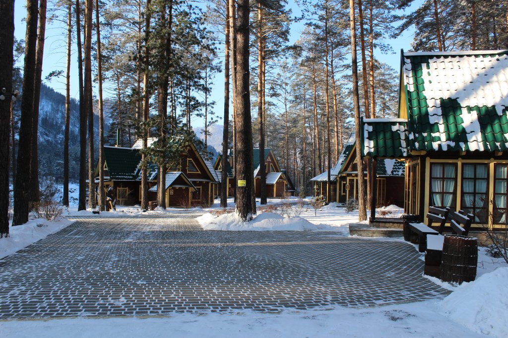 Кедровый остров в горном алтае