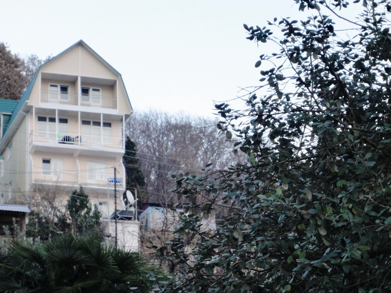 сочи ул декабристов 161