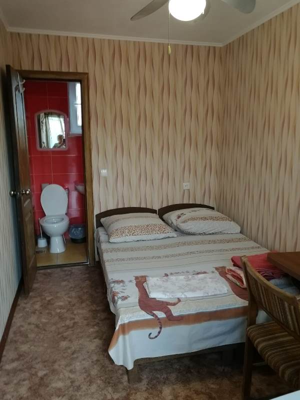 "У Михалыча" мини-гостиница в Алуште - фото 11