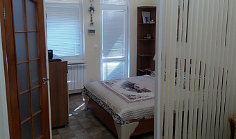 1-комнатная квартира Голицина 16Е в Новом Свете - фото 2