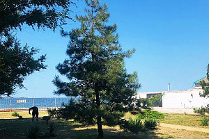 Все турбазы азовского моря