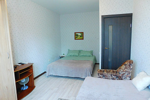 Квартира в Самаре, "Двуглавый Бигль" 1-комнатная Квартира, жилье - фото