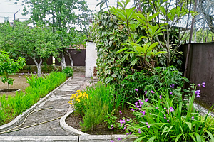 Дизайн двора частного дома – создаем красоту на участке своими руками (идеи, фото)