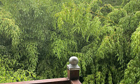 &quot;Бамбуковый рай&quot; дом под-ключ в Сухуме - фото 3