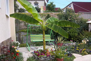 Квартал жемчужный морское судак