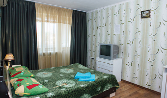 1-комнатная квартира Севастопольская 32 в Симферополе - фото 4
