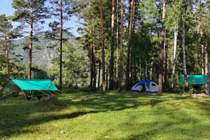 "Forest Camp Altay" - забронировать