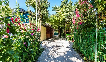 "Сирень" частный сектор в Пересыпи - фото 4