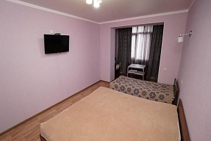 1-комнатная квартира Ладария 2 в Новом Афоне фото 4