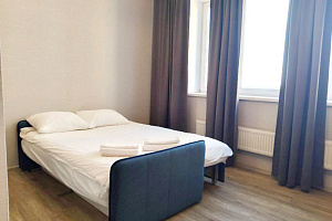 «СolorApartments. Серый блюз» квартира-студия
