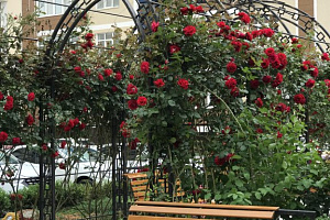 Пансионаты Евпатории рядом с пляжем, "Аквамарин" апарт-отель рядом с пляжем - цены