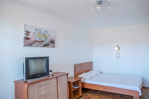 1-комнатная квартира Гоголя 29 в Севастополе фото 6