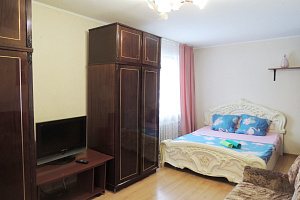 1-комнатная Красной Армии 205 - раннее бронирование