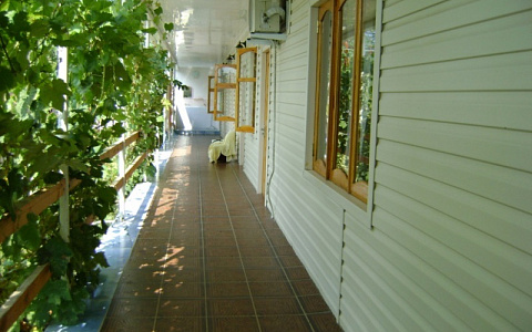 &quot;Райский уголок&quot; гостевой дом в Новом Афоне - фото 2