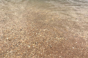 Гостевой дом золотая рыбка азовское море