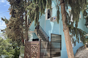 Дом в Отрадном, "Лето" Дом,  - фото