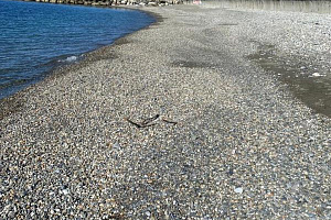 Гостевой дом морской эдем хобза