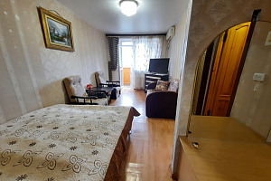 1-комнатная квартира Голицына 28 в Новом Свете фото 5
