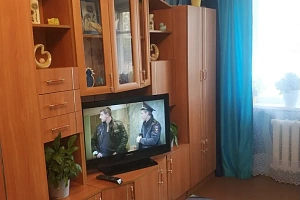 «Уютная в центре» 1-комнатная квартира