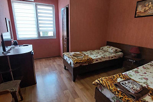 &quot;Lion House&quot; гостевой дом в Саки фото 5