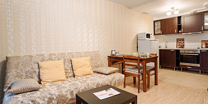 1-комнатная квартира Софьи Ковалевской 16 в Петрозаводске