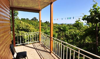 У карины абхазия