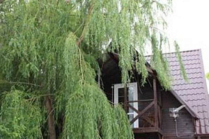 Дача на морской архипо осиповка