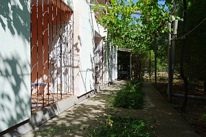 Море удачи саки сот садовод