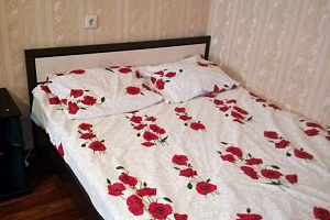 Гостиница в Новошахтинске, 1-комнатная Парковая 42 - фото