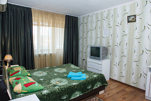 1-комнатная квартира Севастопольская 32 в Симферополе фото 6