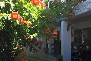 Гостевые дома Дивноморского - отзывы, "Зеленый рай" гостевой дом